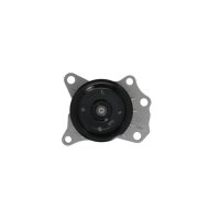 VALEO 529521 Wasserpumpe, Motorkühlung