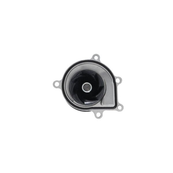 VALEO 529531 Wasserpumpe, Motorkühlung