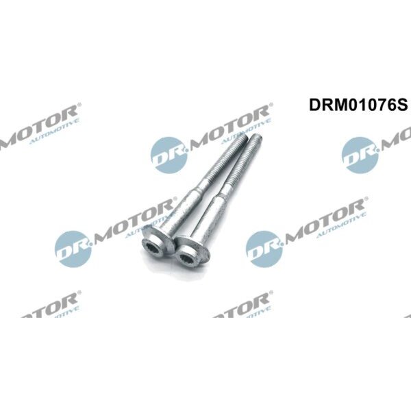 Dr.Motor Automotive DRM01076S Schraube, Einspritzdüsenhalter