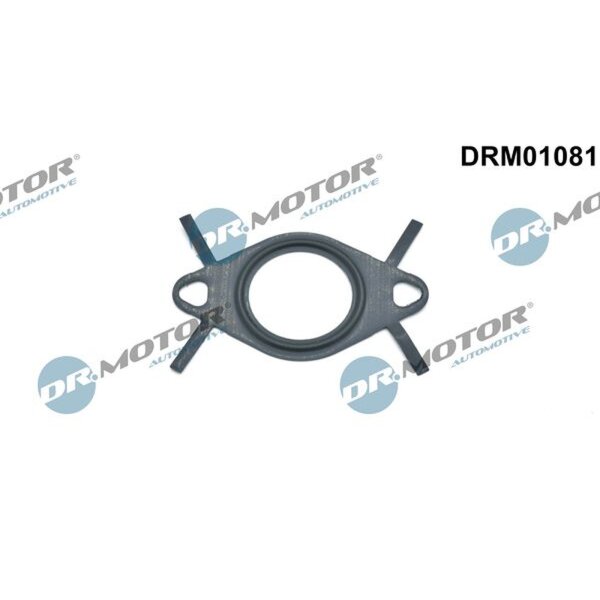 Dr.Motor Automotive DRM01081 Dichtung, Leitung AGR-Ventil