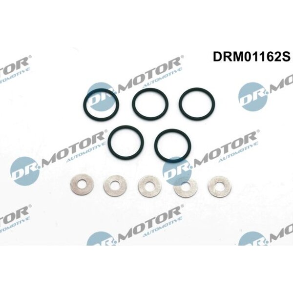 Dr.Motor Automotive DRM01162S Dichtungssatz, Einspritzdüse
