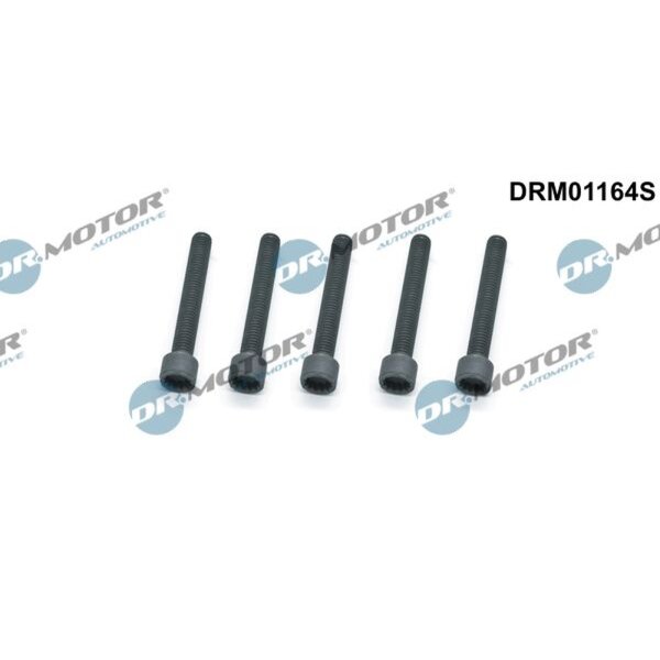 Dr.Motor Automotive DRM01164S Schraube, Einspritzdüsenhalter