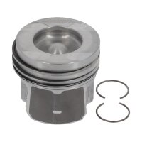 NÜRAL 87-452900-00 Kolben