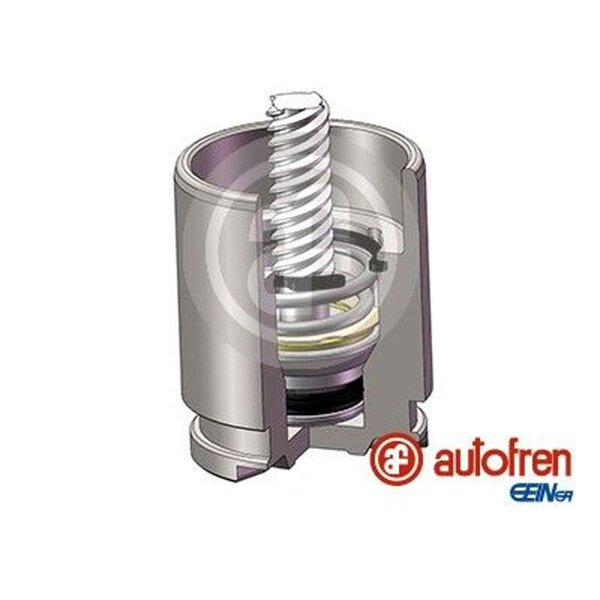 AUTOFREN SEINSA D025780K Kolben, Bremssattel