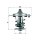 MAHLE TX 72 82 Thermostat, Kühlmittel