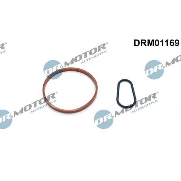 Dr.Motor Automotive DRM01169 Dichtungssatz, Unterdruckpumpe