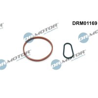 Dr.Motor Automotive DRM01169 Dichtungssatz, Unterdruckpumpe
