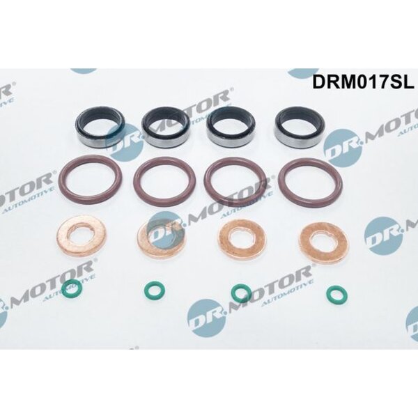 Dr.Motor Automotive DRM017SL Dichtungssatz, Einspritzdüse