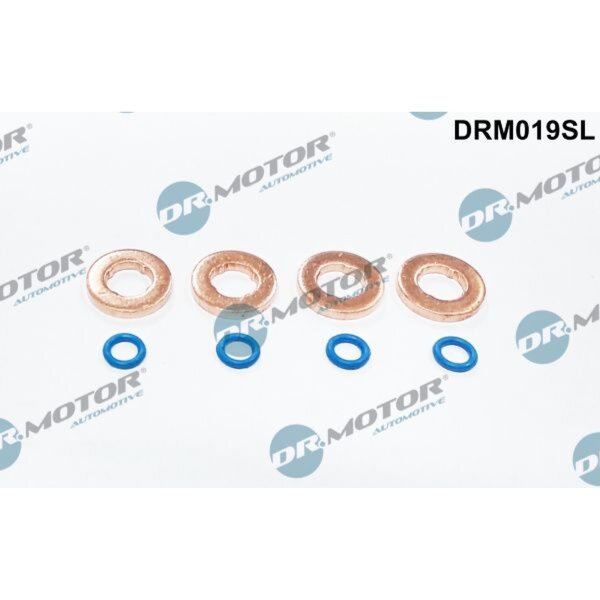 Dr.Motor Automotive DRM019SL Dichtungssatz, Einspritzdüse