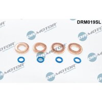 Dr.Motor Automotive DRM019SL Dichtungssatz,...