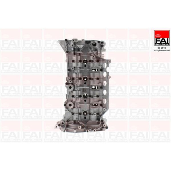 FAI AutoParts BCH093 Zylinderkopf