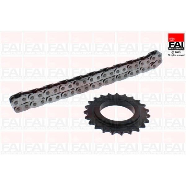 FAI AutoParts OPCK10 Kette, Ölpumpenantrieb