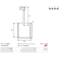 AS-PL SB0020P Kohlebürste, Starter