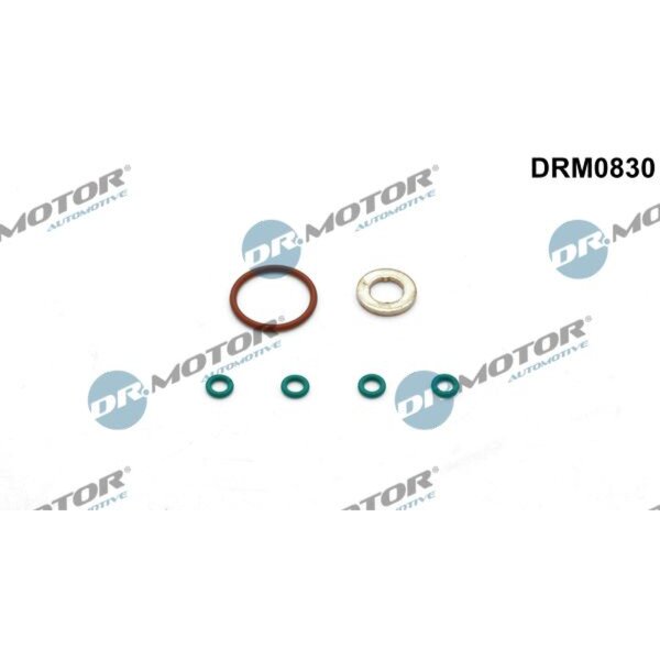 Dr.Motor Automotive DRM0830 Dichtungssatz, Einspritzdüse