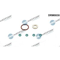 Dr.Motor Automotive DRM0830 Dichtungssatz,...