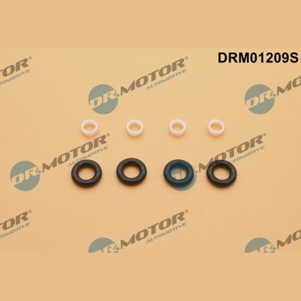 Dr.Motor Automotive DRM01209S Dichtungssatz, Einspritzdüse