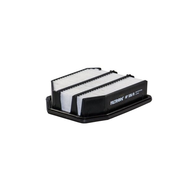 FILTRON AP 106/8 Luftfilter