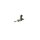 BOSCH 0 261 500 453 Einspritzventil