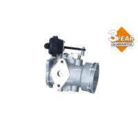 NRF 48634 AGR-Ventil