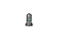 Schaeffler INA 427 0058 10 Zentralventil, Nockenwellenverstellung