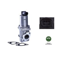 NTK 95269 AGR-Ventil