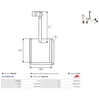 AS-PL SB3018P Kohlebürste, Starter