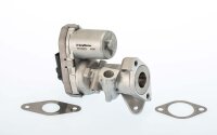 BorgWarner 711022D AGR-Ventil