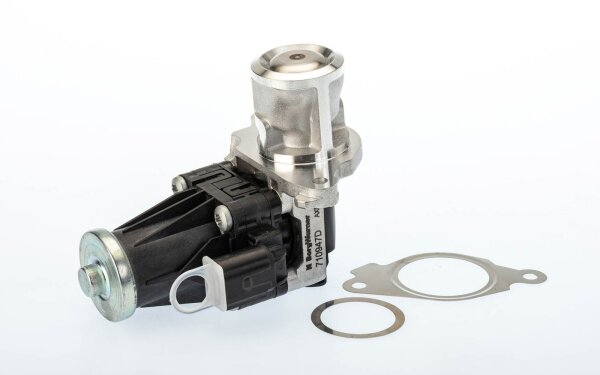 BorgWarner 710947D AGR-Ventil
