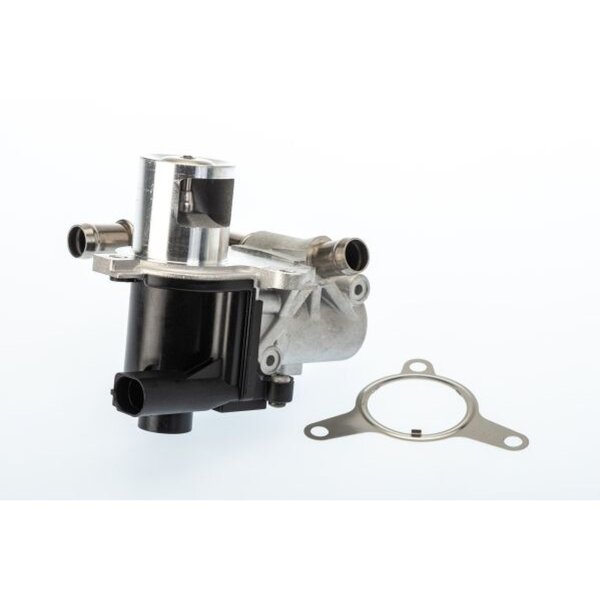 BorgWarner 710965D AGR-Ventil