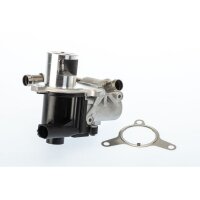 BorgWarner 710965D AGR-Ventil