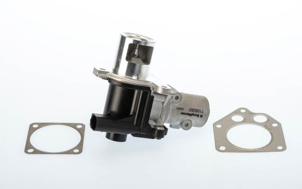 BorgWarner 710928D AGR-Ventil