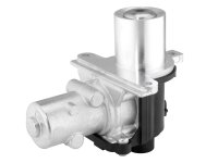 BorgWarner 710928D AGR-Ventil