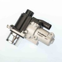 BorgWarner 710940D AGR-Ventil