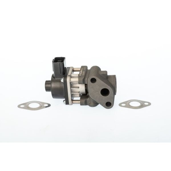 BorgWarner 711024D AGR-Ventil