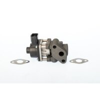 BorgWarner 711024D AGR-Ventil