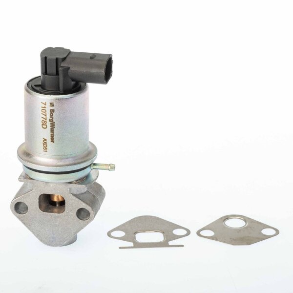 BorgWarner 710778D AGR-Ventil