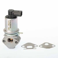 BorgWarner 710778D AGR-Ventil