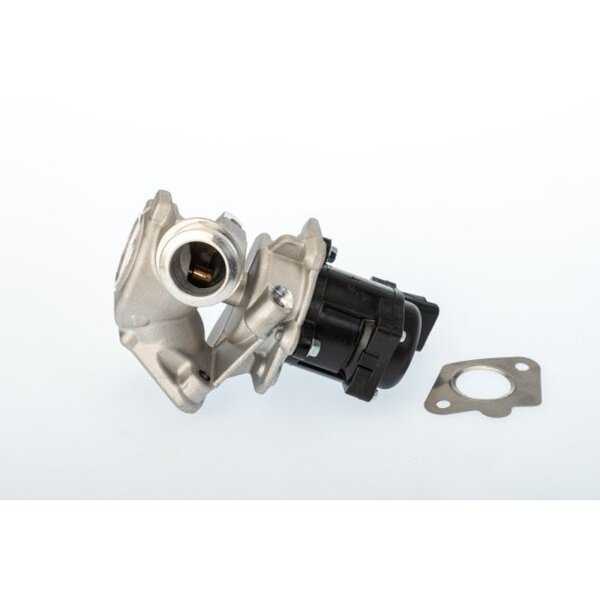 BorgWarner 711020D AGR-Ventil