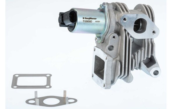 BorgWarner 710959D AGR-Ventil