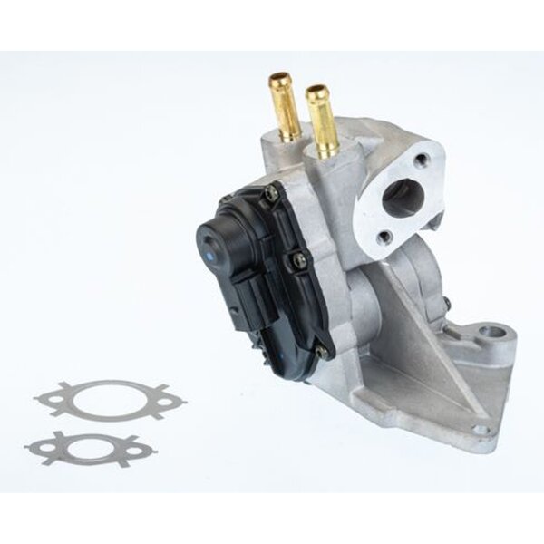 BorgWarner 710937D AGR-Ventil