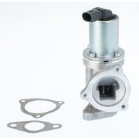 BorgWarner 711031D AGR-Ventil