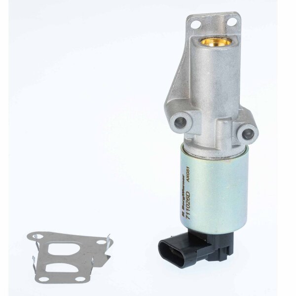 BorgWarner 711026D AGR-Ventil