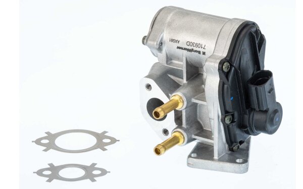 BorgWarner 710930D AGR-Ventil