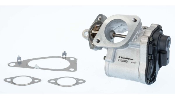 BorgWarner 710938D AGR-Ventil
