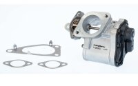 BorgWarner 710938D AGR-Ventil