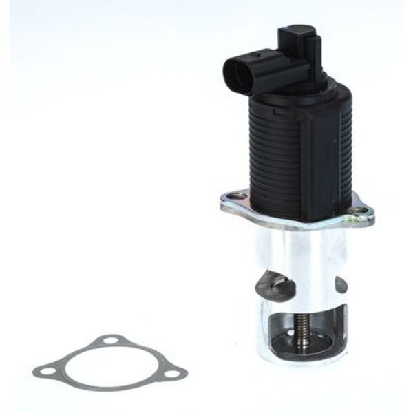 BorgWarner 710776D AGR-Ventil