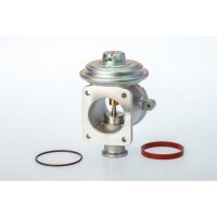 BorgWarner 710924D AGR-Ventil