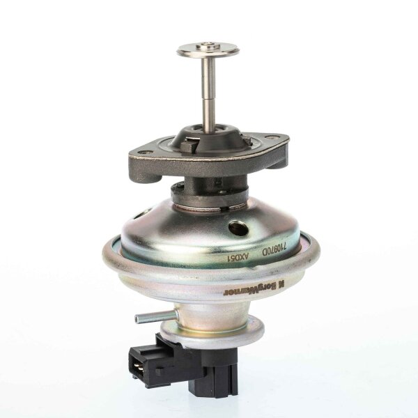 BorgWarner 710970D AGR-Ventil