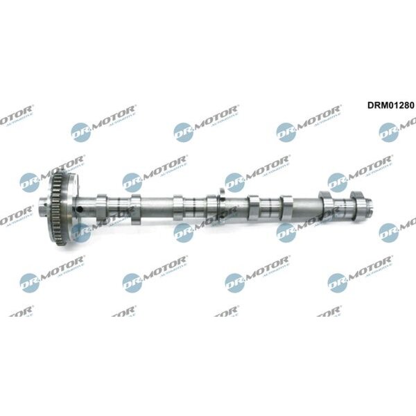 Dr.Motor Automotive DRM01280 Nockenwelle