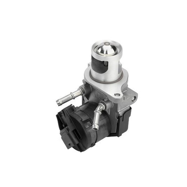 BorgWarner 710327D/1 AGR-Ventil